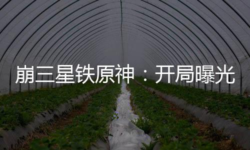 崩三星铁原神：开局曝光第四天灾