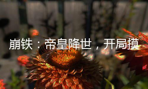 崩铁：帝皇降世，开局摸流萤词条