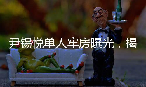 尹锡悦单人牢房曝光，揭秘背后的故事