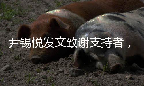 尹锡悦发文致谢支持者，心怀感激，未来可期