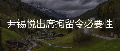 尹锡悦出席拘留令必要性审查，深入剖析法律执行的正当性