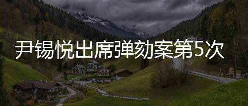 尹锡悦出席弹劾案第5次公开辩论，庭审细节与各方立场深度解析