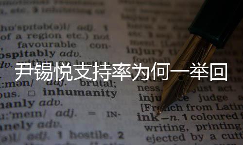 尹锡悦支持率为何一举回到40%，深度解析其原因