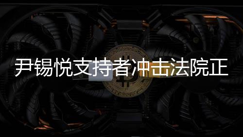 尹锡悦支持者冲击法院正门事件引发关注