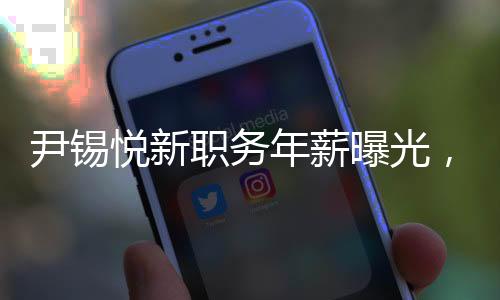 尹锡悦新职务年薪曝光，高达2.626亿韩元，一探究竟