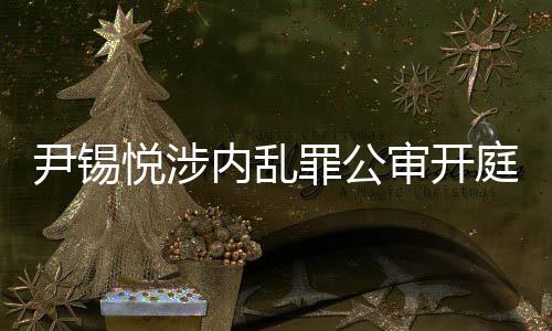 尹锡悦涉内乱罪公审开庭，案件细节逐步揭示