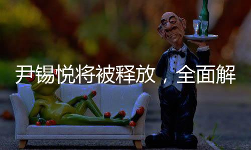 尹锡悦将被释放，全面解读事件内幕