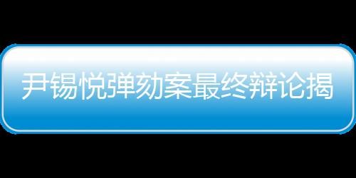 尹锡悦弹劾案最终辩论揭晓，争议背后的复杂纠葛与各方观点博弈