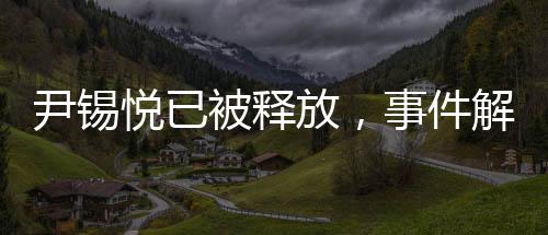 尹锡悦已被释放，事件解读与后续关注