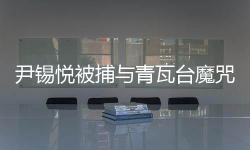 尹锡悦被捕与青瓦台魔咒揭秘，多维度视角解析