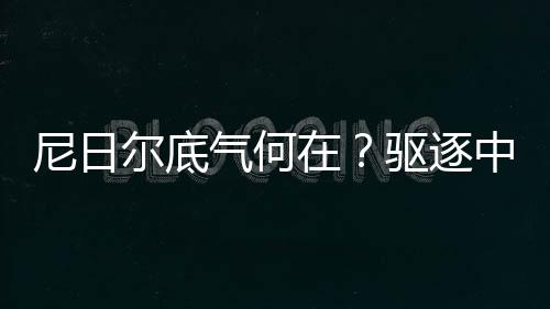尼日尔底气何在？驱逐中石油高管事件深度解析