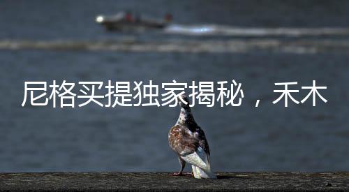 尼格买提独家揭秘，禾木村神秘结界兽踪迹揭秘