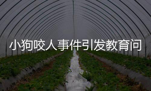 小狗咬人事件引发教育问题，爷爷采取特殊方式教育小狗