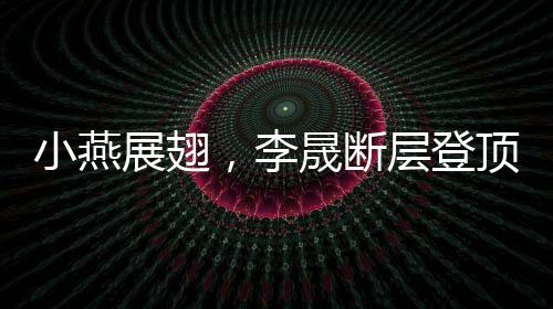 小燕展翅，李晟断层登顶演艺巅峰