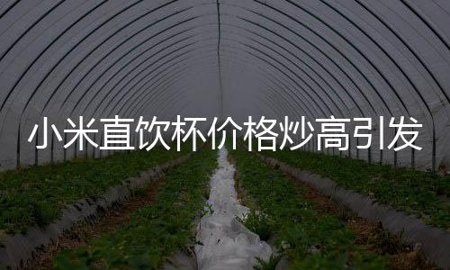 小米直饮杯价格炒高引发关注，市场现象背后的探究