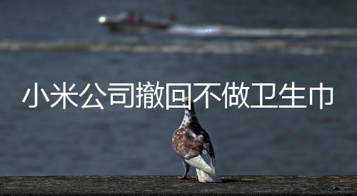 小米公司撤回不做卫生巾声明，引发业界关注的一波转折