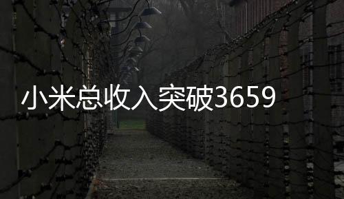 小米总收入突破3659亿，去年业务大盘点