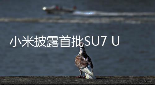 小米披露首批SU7 Ultra车主用户画像，揭示高端智能电动汽车用户的特征