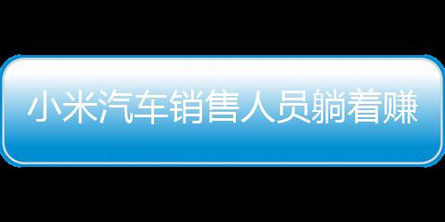 小米汽车销售人员躺着赚钱的现象深度解析