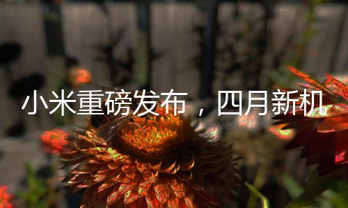 小米重磅发布，四月新机型，亲民价格，实现用户买得起的梦想