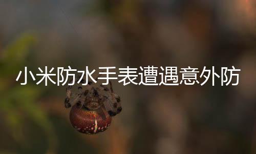 小米防水手表遭遇意外防水失效问题，消费者的维权挑战与品牌的保修决策揭秘