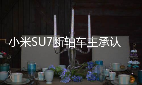 小米SU7断轴车主承认欺瞒网友事件调查与反思
