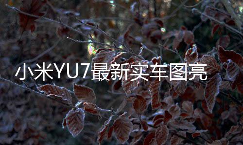 小米YU7最新实车图亮相，引领智能电动车新时代