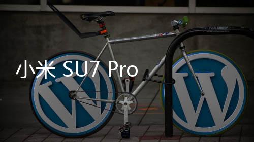 小米 SU7 Pro 交付时间长达 11 个月？小米王化辟谣