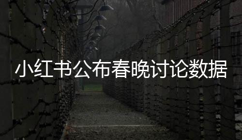 小红书公布春晚讨论数据，掀起全民热议的浪潮