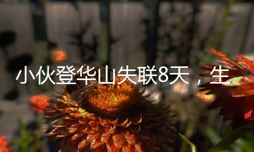 小伙登华山失联8天，生死未卜，搜救行动紧张展开