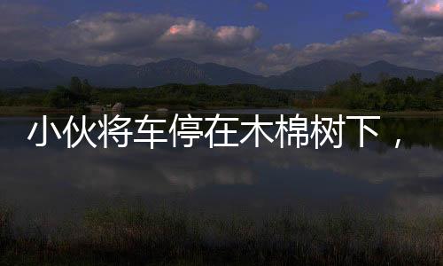 小伙将车停在木棉树下，结果悲剧了