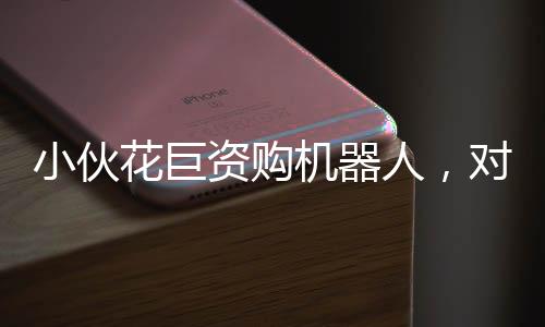 小伙花巨资购机器人，对外租赁收入可观