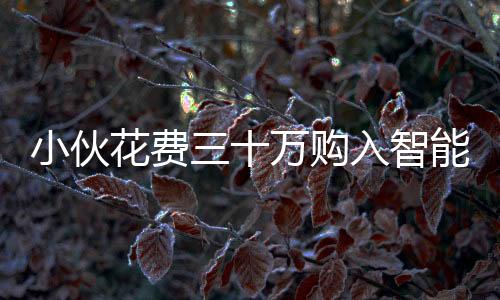 小伙花费三十万购入智能机器人，租赁服务每日高达八千，打造智能生态产业新模式