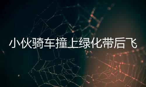 小伙骑车撞上绿化带后飞进居民家事件始末