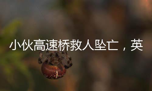 小伙高速桥救人坠亡，英勇善举背后的悲痛故事