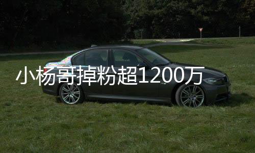 小杨哥掉粉超1200万，探究背后的原因与挑战