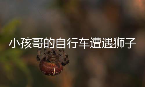 小孩哥的自行车遭遇狮子袭击，神秘事件引人关注