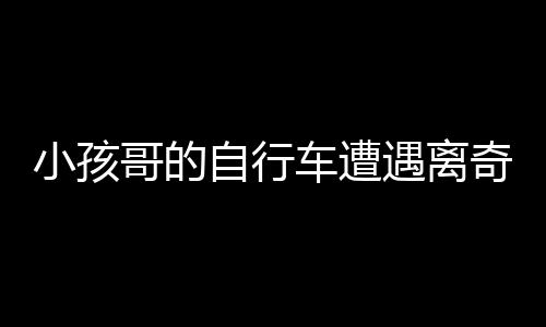 小孩哥的自行车遭遇离奇事件，狮子将其骑走，背后真相待揭晓
