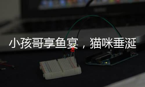 小孩哥享鱼宴，猫咪垂涎欲哭