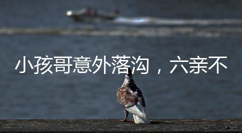 小孩哥意外落沟，六亲不认步伐成焦点