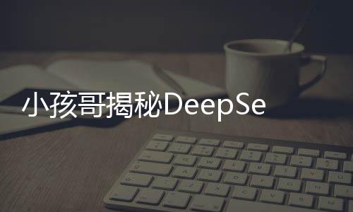 小孩哥揭秘DeepSeek三步法学数学的奥秘