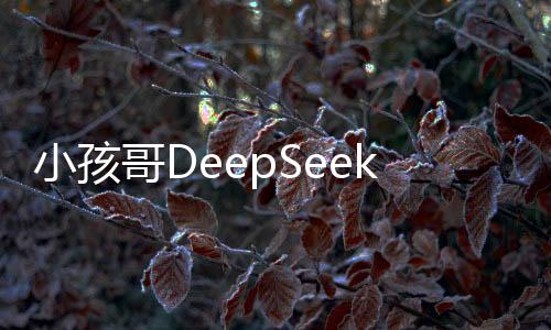小孩哥DeepSeek三步法学数学，揭秘一种全新的数学学习方式