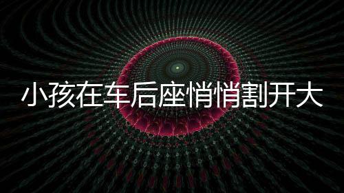 小孩在车后座悄悄割开大人羽绒服，引发社会关注与深思