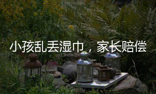 小孩乱丢湿巾，家长赔偿七千元事件引发社会关注