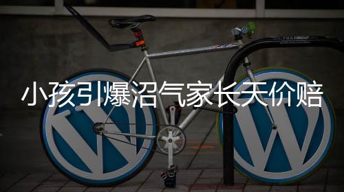 小孩引爆沼气家长天价赔偿系谣言揭秘