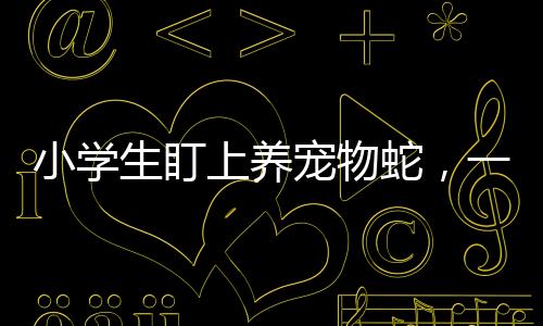小学生盯上养宠物蛇，一种新兴宠物热潮下的关注与警示