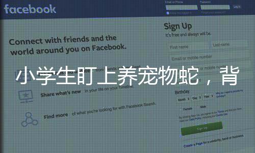 小学生盯上养宠物蛇，背后的故事与注意事项