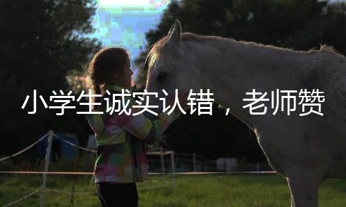 小学生诚实认错，老师赞扬其品质——一次教育中的正向激励故事