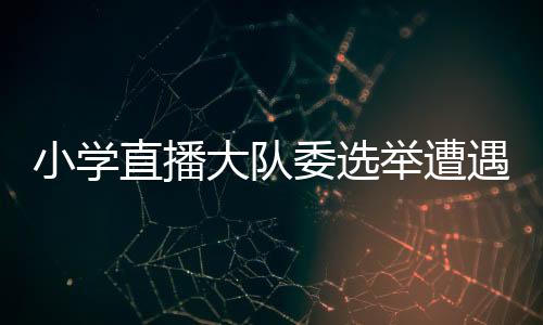 小学直播大队委选举遭遇官腔吐槽，探讨民主选举的真谛与改进之道