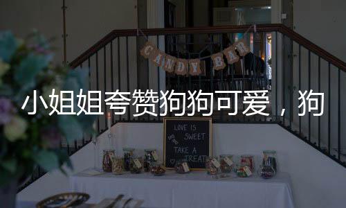 小姐姐夸赞狗狗可爱，狗激动碰瓷，人与宠物的温馨互动